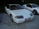Treffen Österreich Fellinger Ramsau 2011