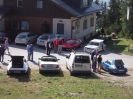 Treffen Österreich Fellinger Ramsau 2011