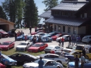 Treffen Österreich Fellinger Ramsau 2011