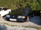 Treffen Österreich Fellinger Ramsau 2011