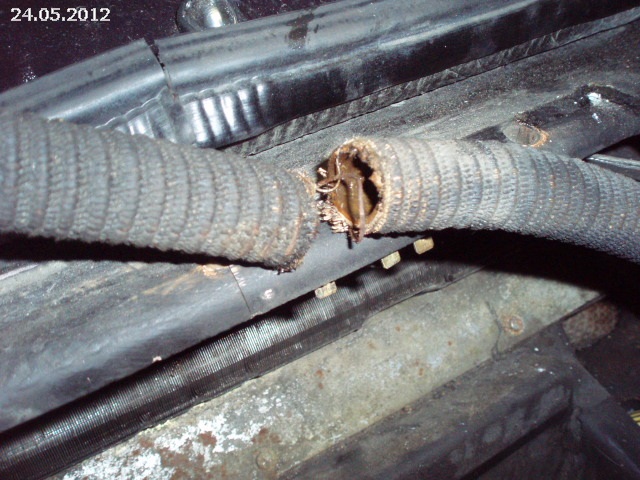 user_65_120524_02_2.jpg